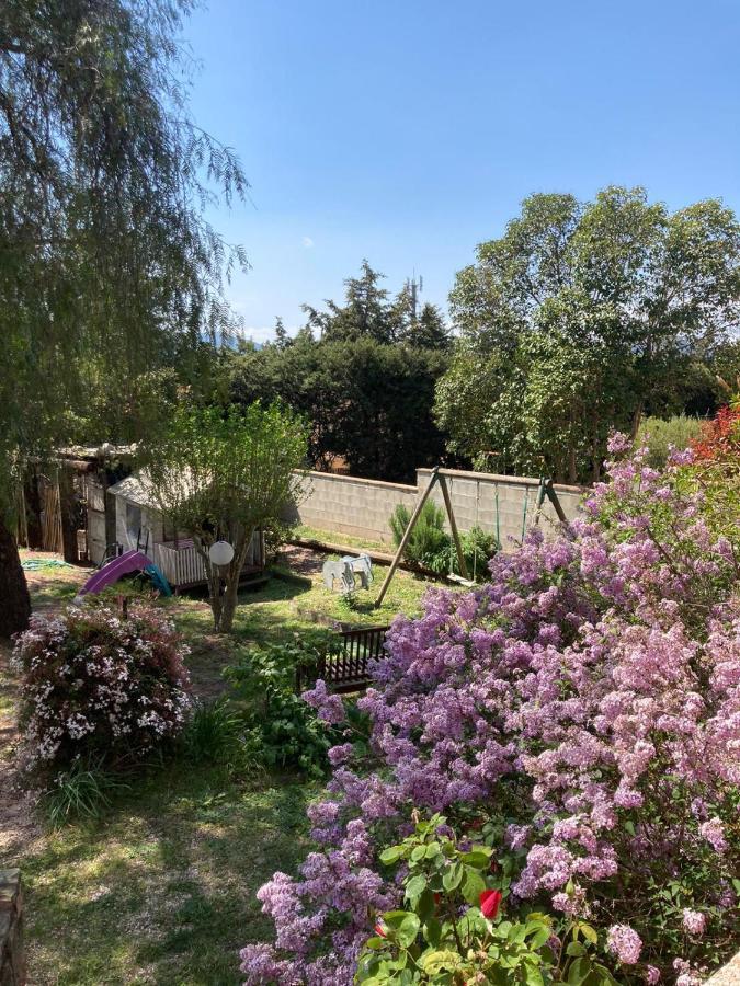Escapade En Provence, Bord De A 10 Minutes Puget-sur Argens